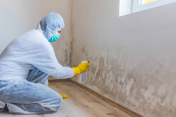Crawl Space Mold Remediation treatment of floor joists in Breezewood
